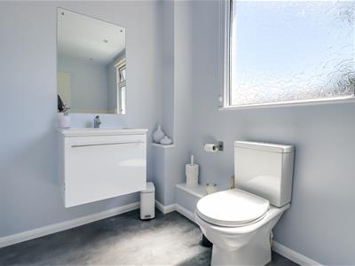 Picture 23